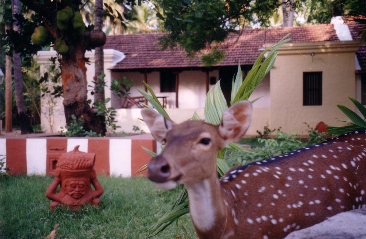 Indeco Hotels Swamimalai Kumbakonam Exterior foto